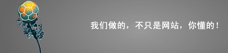 我們做的不只是網(wǎng)站，你懂得