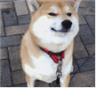 微信圖片_20190730102810.png